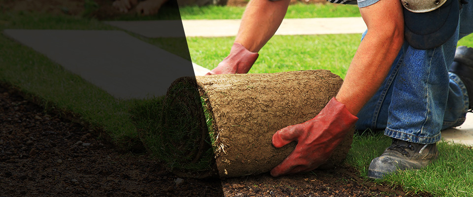 Penns Grove Landscapers